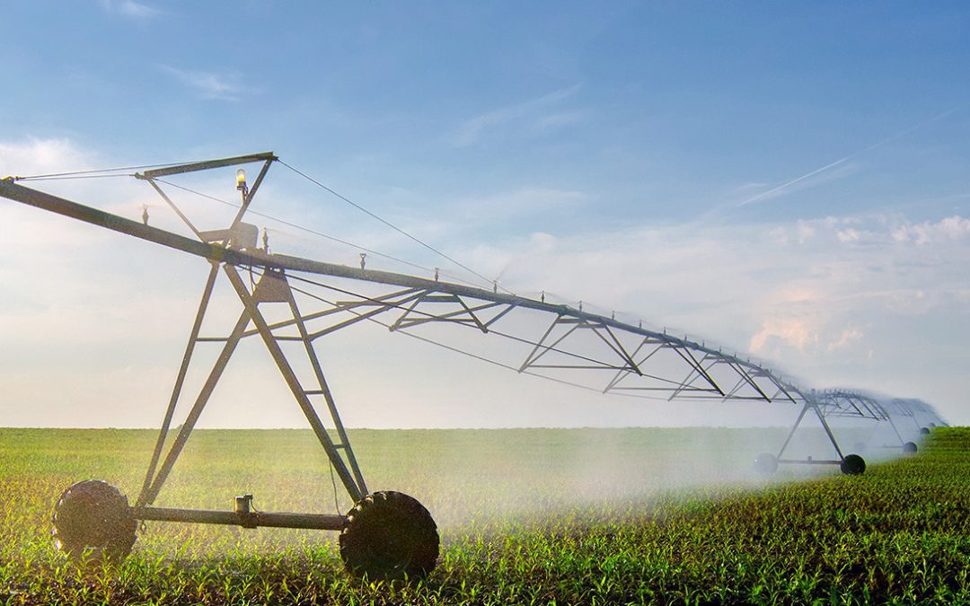 Mezőgazdasági vízgazdálkodási ágazat fejlesztése